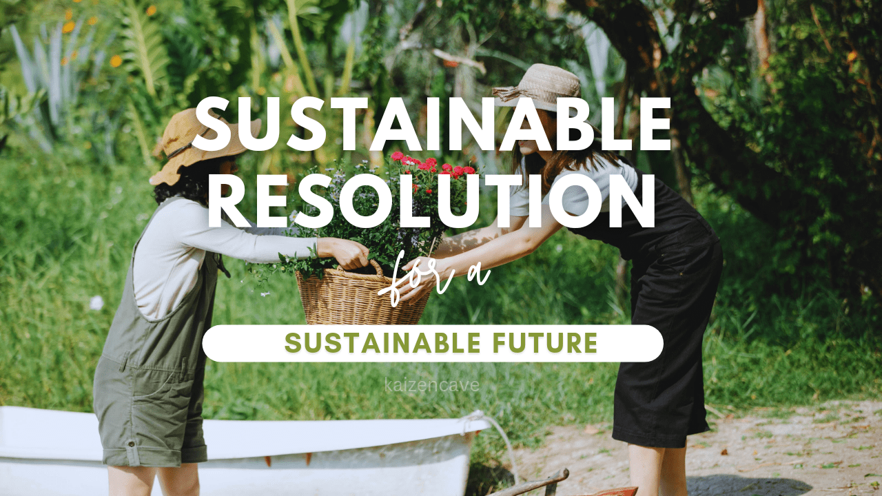 sustainable resolution for sustainable future