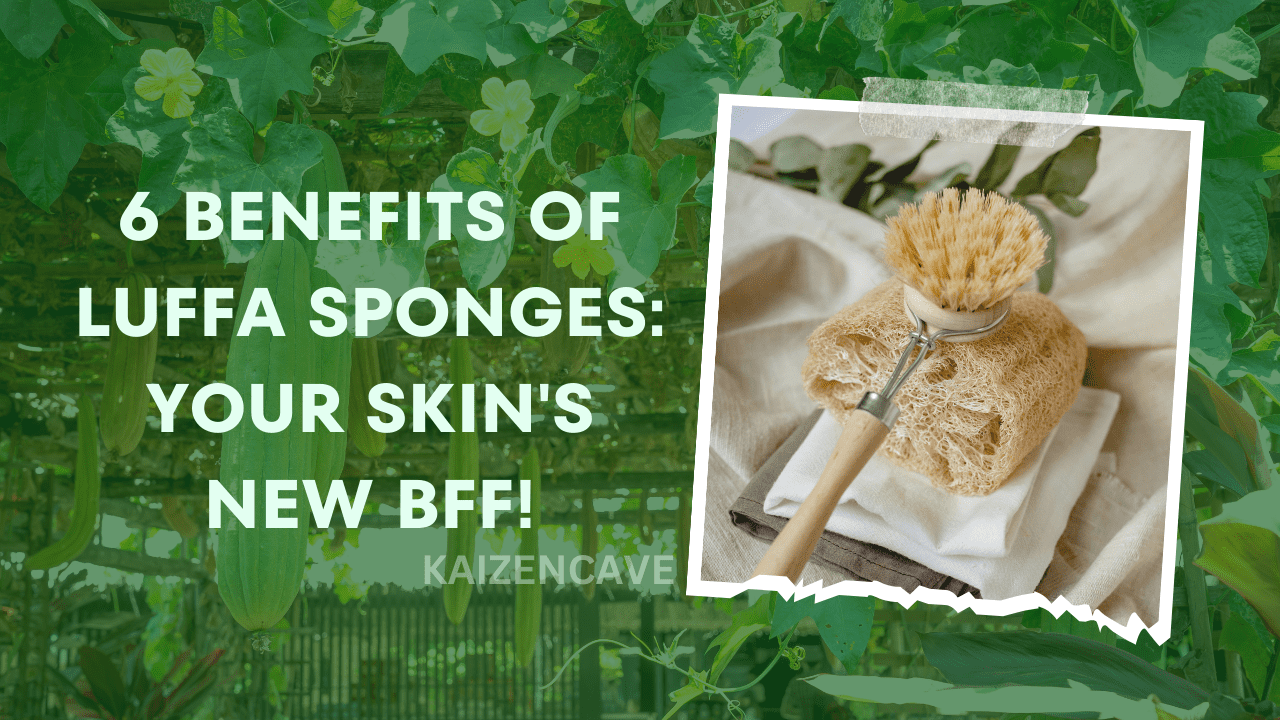 6 Benefits of Luffa Sponges: Your Skin's New BFF!