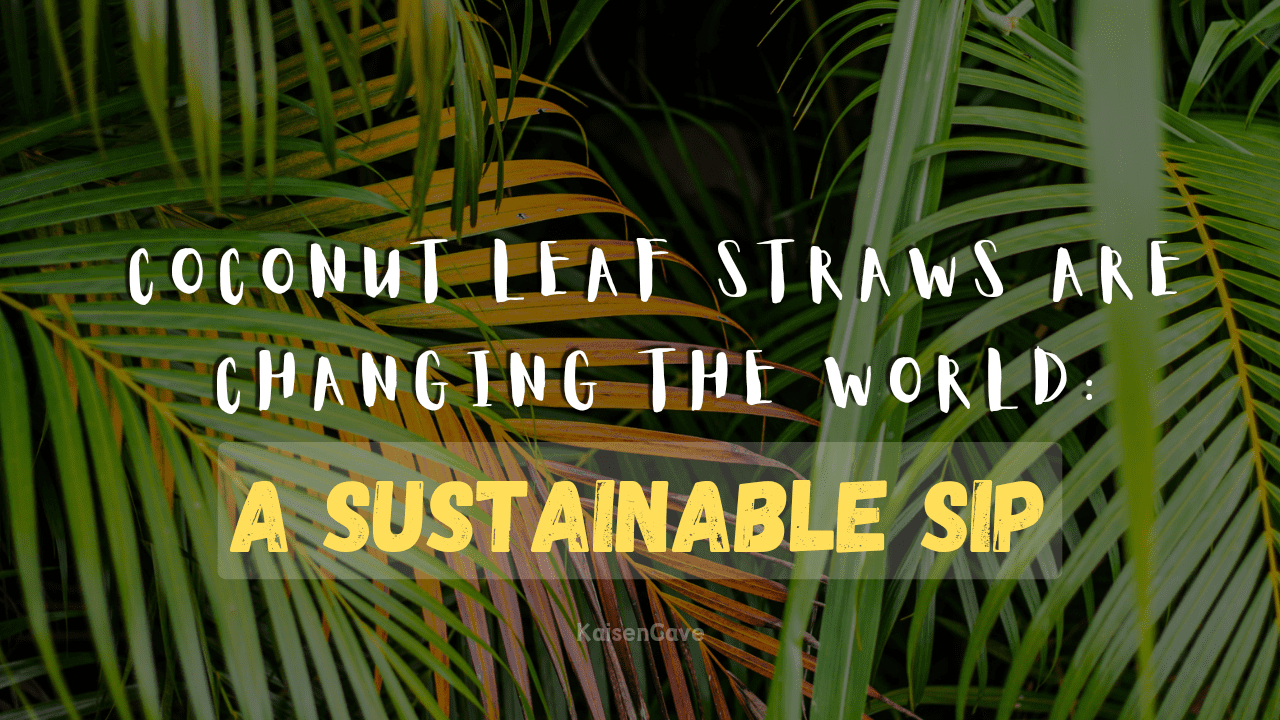 Coconut Leaf Straws are Changing the World: A Sustainable Sip